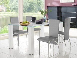 4-tooli komplekt Notio Living Nelsonda, hall hind ja info | Köögitoolid, söögitoolid | hansapost.ee