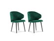 2 tooli komplekt Windsor ja Co Nemesis, roheline hind ja info | Köögitoolid, söögitoolid | hansapost.ee