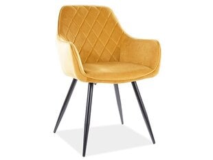 Комплект из 2-х стульев Signal Meble Linea, желтый цена и информация | Стулья для кухни и столовой | hansapost.ee