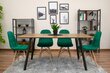 4-tooli komplekt Dumo, roheline цена и информация | Köögitoolid, söögitoolid | hansapost.ee