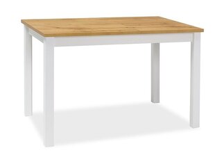 Laud Signal Meble Adam, 100x60 cm, pruun/valge цена и информация | Кухонные и обеденные столы | hansapost.ee