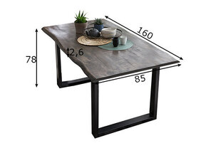 Обеденный стол Tische, 85x160 цена и информация | Кухонные и обеденные столы | hansapost.ee