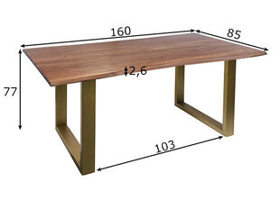 Söögilaud Tische, 85x160, messing hind ja info | Köögilauad, söögilauad | hansapost.ee