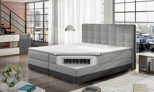 Кровать Damaso, 160х200 см, розовая/фиолетовая цена и информация | Кровати | hansapost.ee