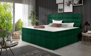 Кровать NORE Softy 160x200 см, темно-зеленая цена и информация | Кровати | hansapost.ee