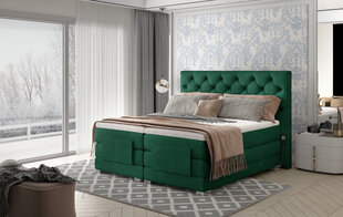 Электрическая кровать NORE Clover 07, 140x200, зеленая цена и информация | Кровати | hansapost.ee