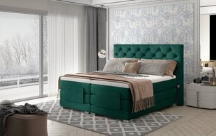 Elektriline voodi NORE Clover 10, 160x200, roheline цена и информация | Кровати | hansapost.ee
