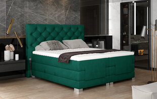 Электрическая кровать NORE Clover 10, 160x200, зеленая цена и информация | Кровати | hansapost.ee