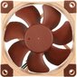 Noctua NF-A8 ULN arvuti jahutussüsteem Arvuti korpus Ventilaator 8 cm Beež, Pruun цена и информация | Arvuti ventilaatorid | hansapost.ee