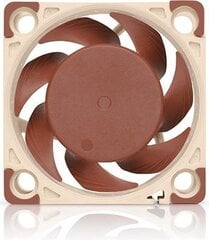 Noctua NF-A4x20 FLX цена и информация | Компьютерные вентиляторы | hansapost.ee