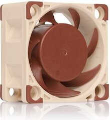 Noctua NF-A4x20 FLX цена и информация | Компьютерные вентиляторы | hansapost.ee