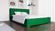 Voodi Diori 160x200 cm, roheline цена и информация | Voodid | hansapost.ee