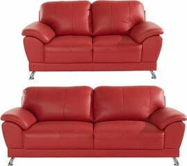 Комплект из 2-х диванов Notio Living Lutfi, красного цвета цена и информация | Диваны | hansapost.ee