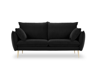 Двухместный бархатный диван Milo Casa Elio, черный/золотистый цена и информация | Диваны | hansapost.ee