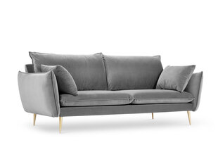 Трехместный бархатный диван Milo Casa Elio, серый/золотистый цена и информация | Диваны | hansapost.ee