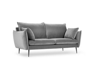 Двухместный бархатный диван Milo Casa Elio, серый/черный цена и информация | Диваны | hansapost.ee