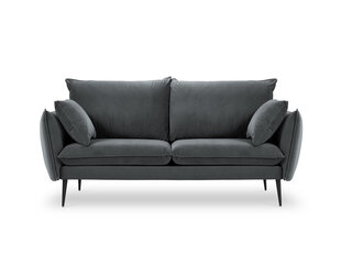 Двухместный бархатный диван Milo Casa Elio, серый/черный цена и информация | Диваны | hansapost.ee