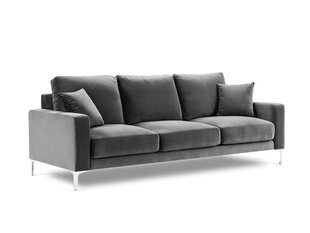 Трехместный бархатный диван Kooko Home Lyrique, серый цена и информация | Диваны | hansapost.ee