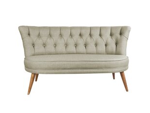 Мягкий диван Artie Richland Loveseat, серый цена и информация | Диваны | hansapost.ee