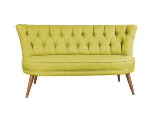 Мягкий диван Artie Richland Loveseat, светло-зеленый цена и информация | Диваны | hansapost.ee