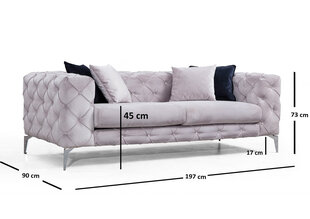 Двуспальный диван Kalune Design Como, светло-серый цена и информация | Диваны | hansapost.ee