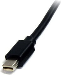 StarTech, DisplayPort Mini - DisplayPort Mini, 1 м цена и информация | StarTech Бытовая техника и электроника | hansapost.ee