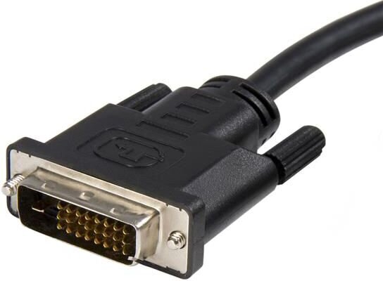 StarTech, DP2DVIMM10 DisplayPort - DVI-D, 3 m цена и информация | Juhtmed ja kaablid | hansapost.ee