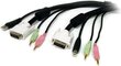 StarTech USBDVI4N1A6, DVI hind ja info | Juhtmed ja kaablid | hansapost.ee