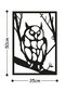 Metallist seinadekoratsioon Owl, 35x50 cm hind ja info | Sisustuselemendid | hansapost.ee