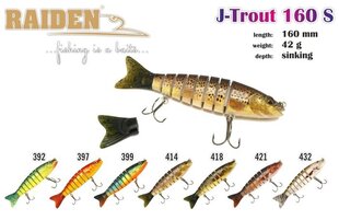 Vobler Raiden J-Trout 160 42G 418 hind ja info | Akara Sport, puhkus, matkamine | hansapost.ee