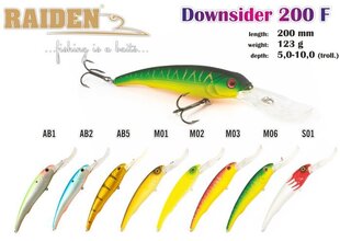 Воблер Raiden Downsider 200F 123g M02 цена и информация | Raiden Товары для рыбалки | hansapost.ee