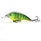 Vobler Banshee Crankbait Bass 60mm 10g VC01 Bitter Lime Perch, ujuv цена и информация | Landid, voblerid | hansapost.ee