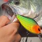 Vobler Banshee Crankbait 58mm 9g VKR01-58, roheline цена и информация | Landid, voblerid | hansapost.ee