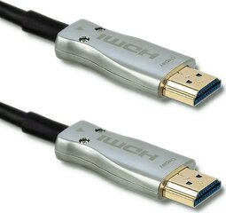 Qoltec 50473 HDMI v2.0 A штекер | A штекер | AOC | 10м цена и информация | Qoltec Телевизоры и аксессуары | hansapost.ee