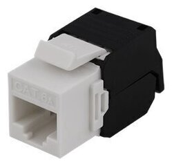 Deltaco MD-109, RJ45 UTP (CAT 6A) hind ja info | Juhtmed ja kaablid | hansapost.ee