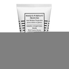 Маска для глубокого очищения лица Sisley Deeply Purifying Mask With Tropical Resins 60 мл цена и информация | Маски для лица, патчи для глаз | hansapost.ee