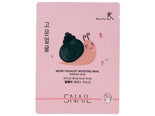 Lehtmask näole teolima ekstraktiga Beauty Kei hind ja info | Näomaskid ja silmamaskid | hansapost.ee