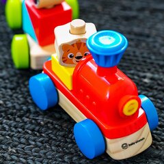 Lükatav mänguasi Puidust rong Hape, 800809 цена и информация | Hape Товары для детей и младенцев | hansapost.ee