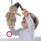 Muusikaline rippuv mänguasi Babyfehn Karu, 60119 hind ja info | Beebide mänguasjad | hansapost.ee