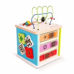 Деревянный развивающий куб Hape, 800808 цена и информация | Игрушки для малышей | hansapost.ee