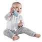 Meloodiaga pehme telefon VULLI, Sophie la girafe, 230777 цена и информация | Beebide mänguasjad | hansapost.ee