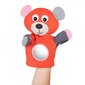 Käenukk närimisleluga Canpol Babies Bears, 68/076_cor цена и информация | Beebide mänguasjad | hansapost.ee