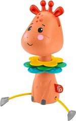 Hariv mänguasi Kaelkirjak Mattel Fisher Price, GWL65 hind ja info | Beebide mänguasjad | hansapost.ee