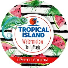Geeljas näomask Marion Tropical Island 10 g hind ja info | Näomaskid ja silmamaskid | hansapost.ee