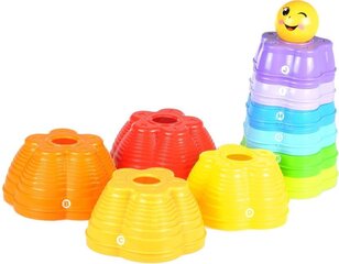 Värviline püramiid Rainbow hind ja info | Beebide mänguasjad | hansapost.ee