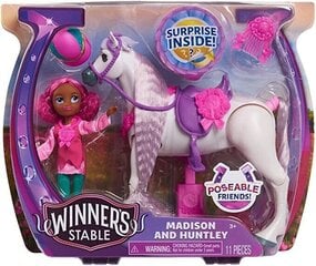Набор-кукла с лошадью Madison & Huntley,Winners Stable, 53178 цена и информация | Игрушки для девочек | hansapost.ee