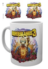 Borderlands 3 hind ja info | Fännitooted mänguritele | hansapost.ee