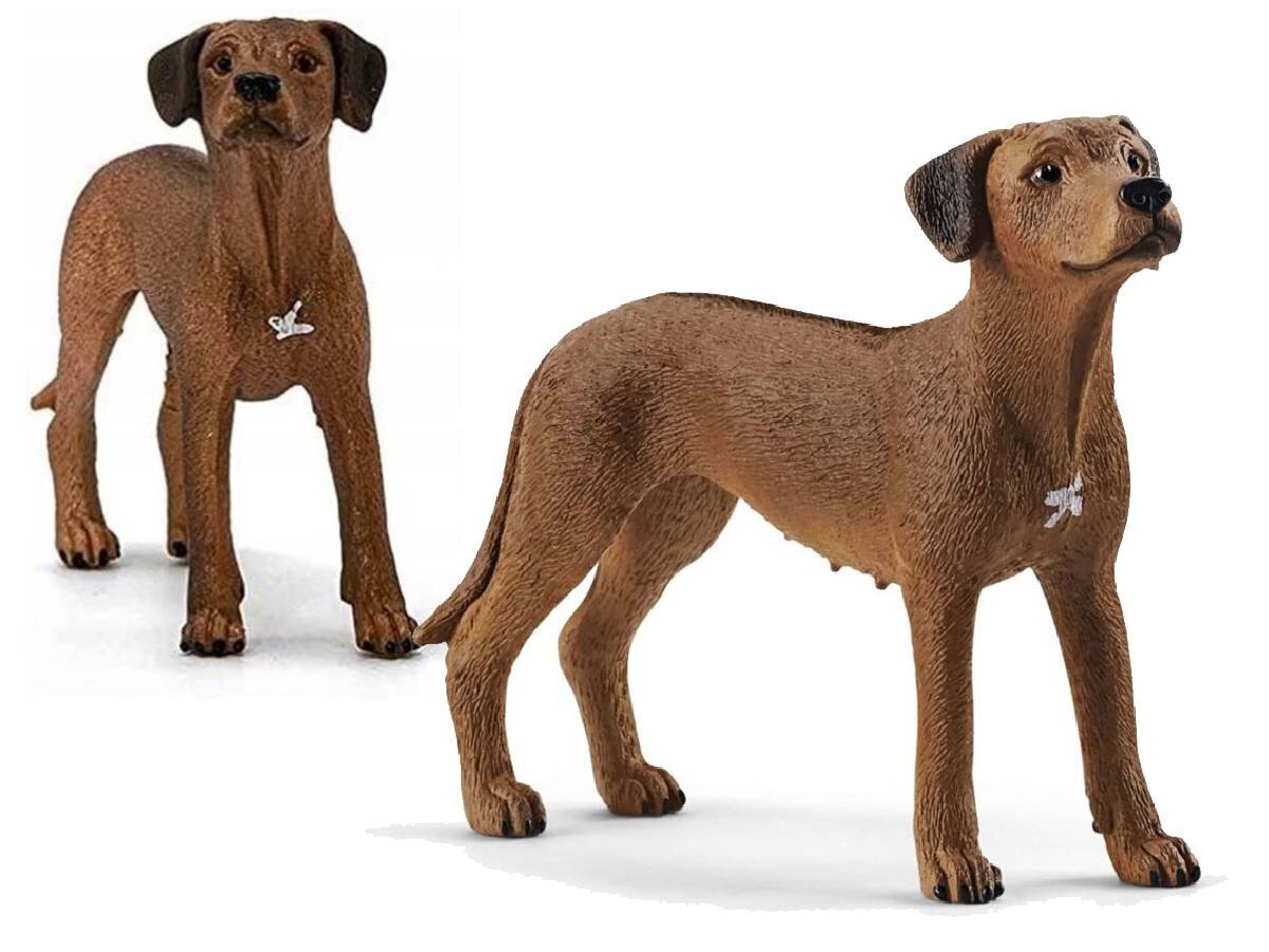 Kuju Rodeesia ridgeback Schleich Farm World цена и информация | Mänguasjad poistele | hansapost.ee