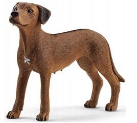 Kuju Rodeesia ridgeback Schleich Farm World hind ja info | Schleich Lastekaubad ja beebikaubad | hansapost.ee