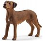 Kuju Rodeesia ridgeback Schleich Farm World цена и информация | Mänguasjad poistele | hansapost.ee